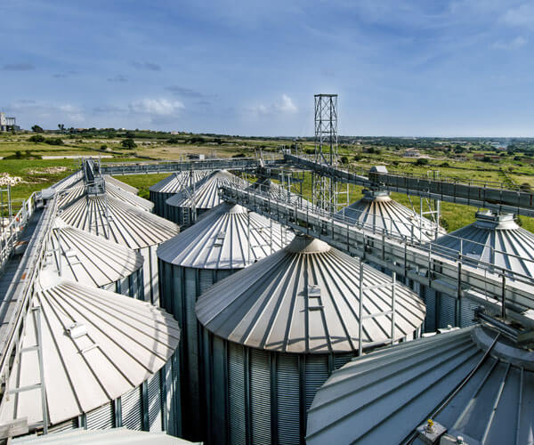 semola di grano duro campagna