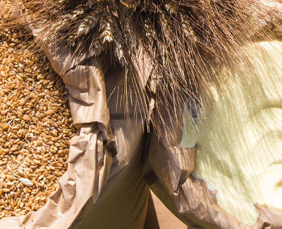 semola di grano duro ingredienti